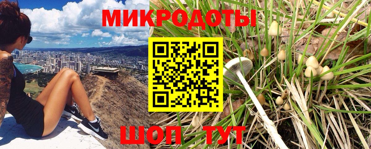 Кашира  Псилоцибиновые грибы ЛСД  Вход с VPN 