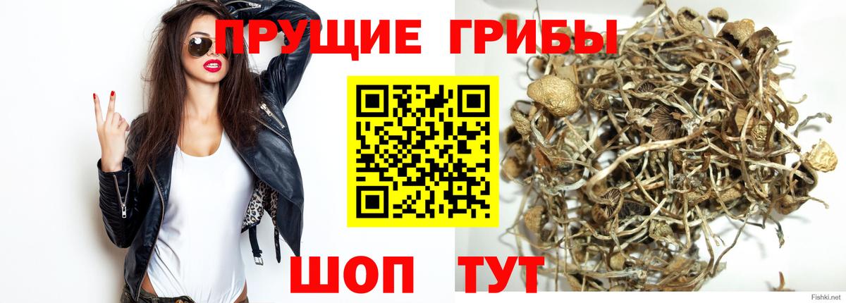 Псилоцибиновые грибы ЛСД Кашира